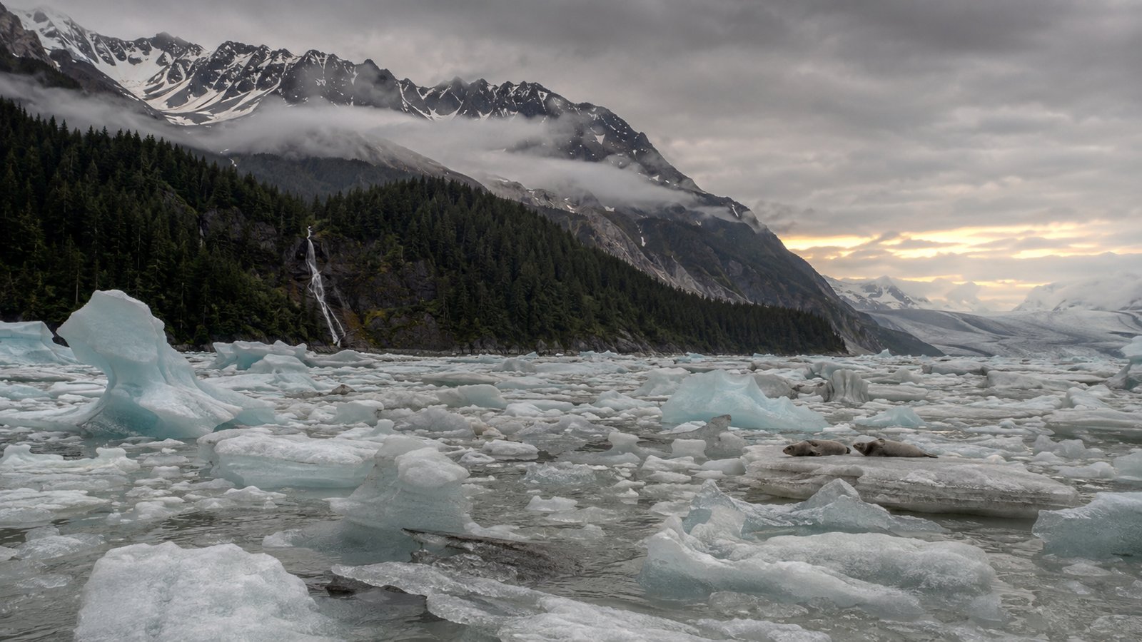 Prince William Sound, Southcentral Alaska