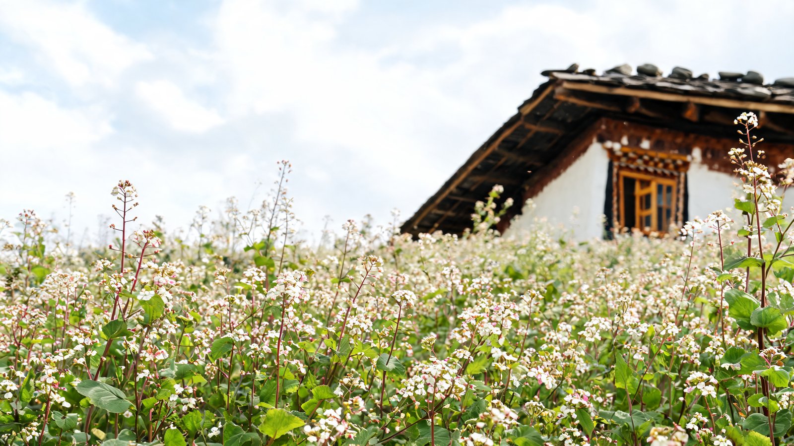 Bumthang