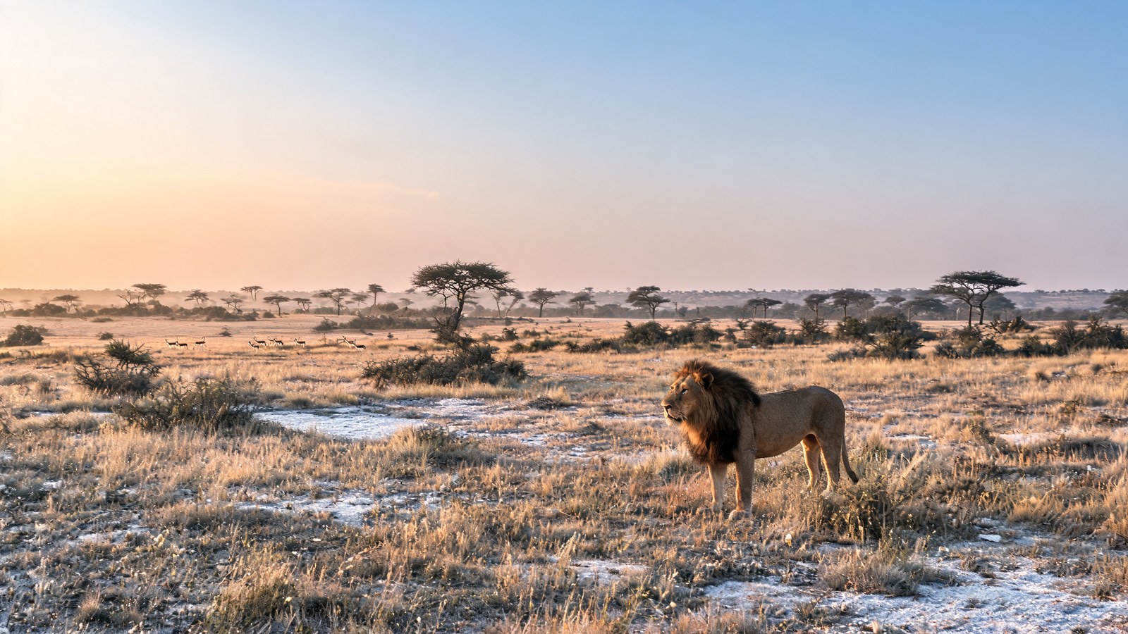 Central Kalahari, Central Botswana