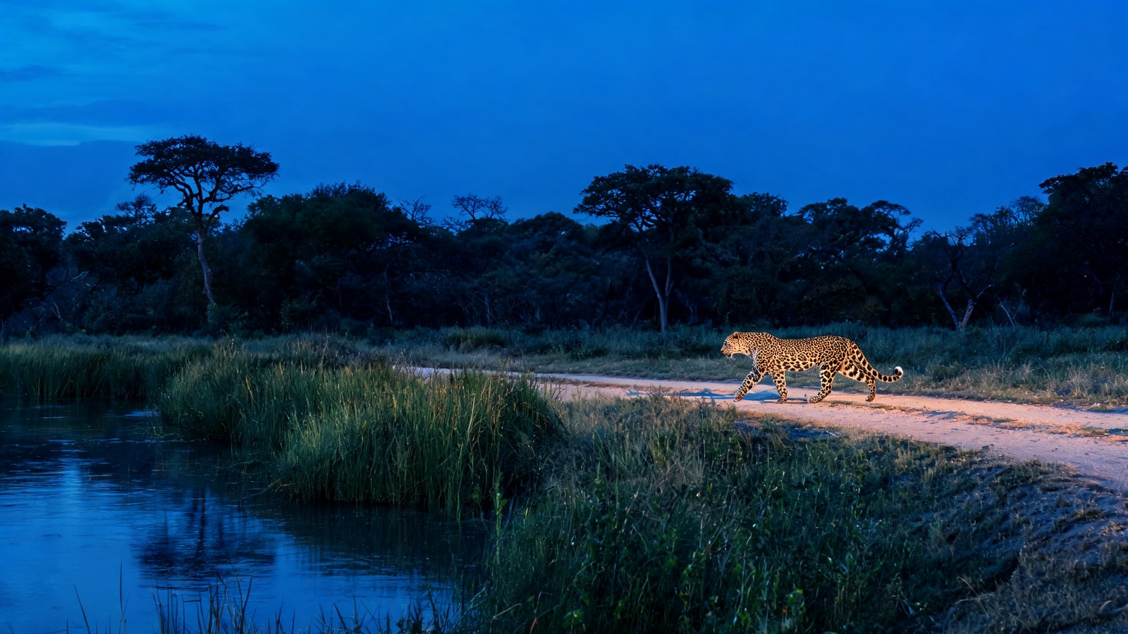 Khwai Community Concession, Northern Botswana