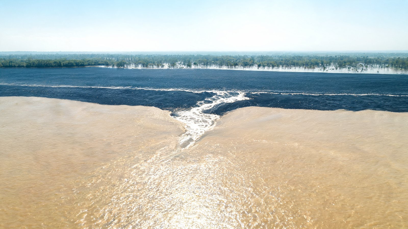 The Amazon, Amazonas