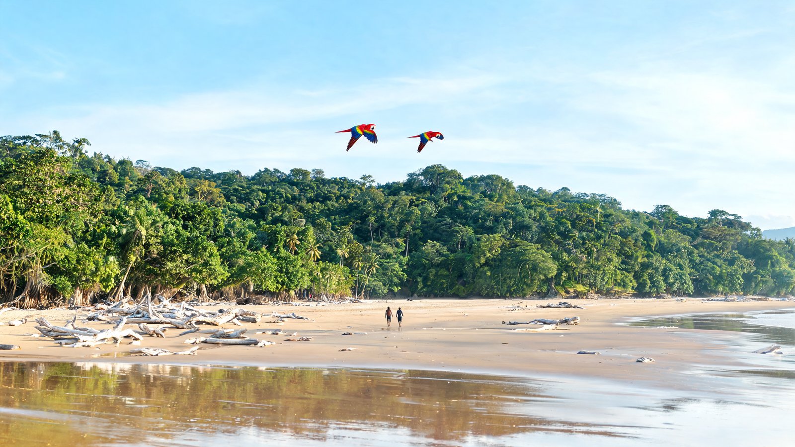 Osa Peninsula & Corcovado, South Pacific