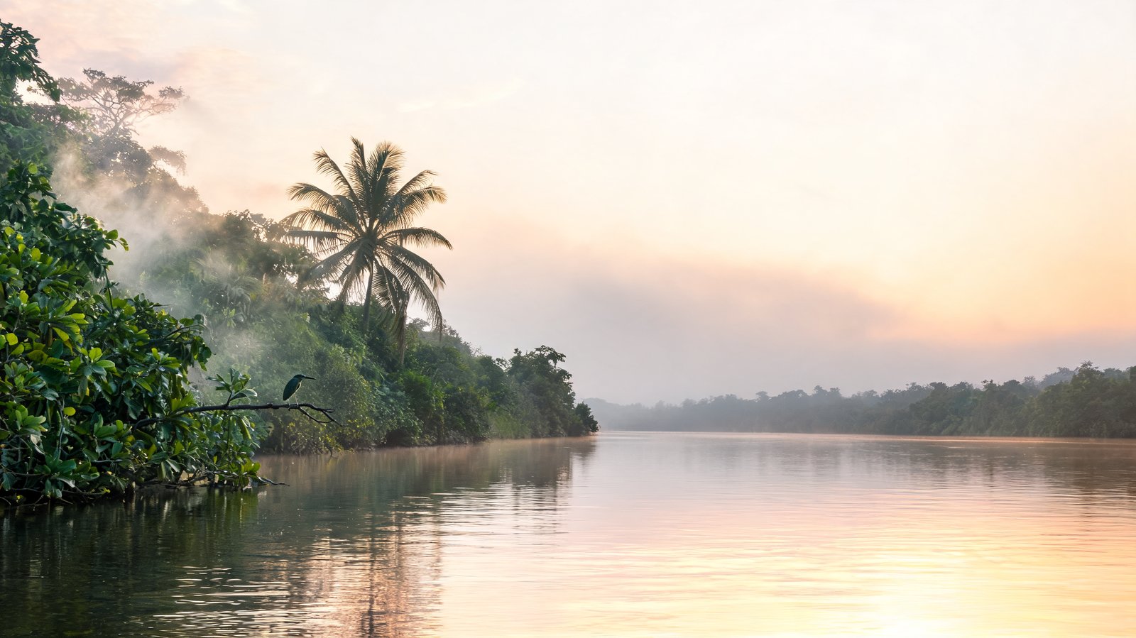 Tortuguero & the Caribbean, Limón