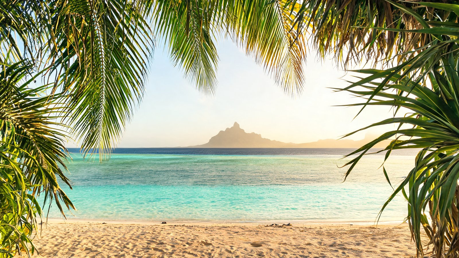 Palm fronds framing the lagoon with Mount Otemanu distant at golden hour, Bora Bora