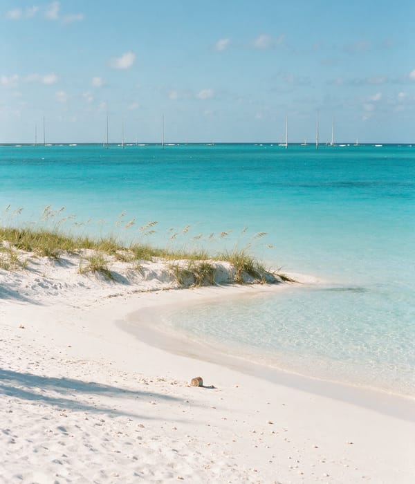 Powder-white sand shelving into banded turquoise water at Grace Bay, Turks and Caicos