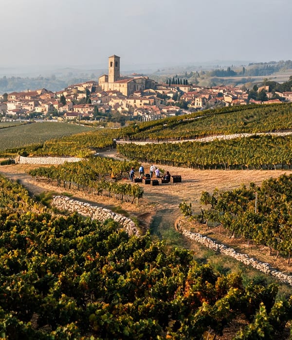 A hilltop village above terraced vineyards with a tasting table set among the vines