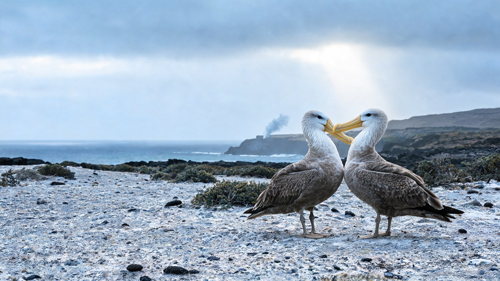Española Island, Southeastern Islands