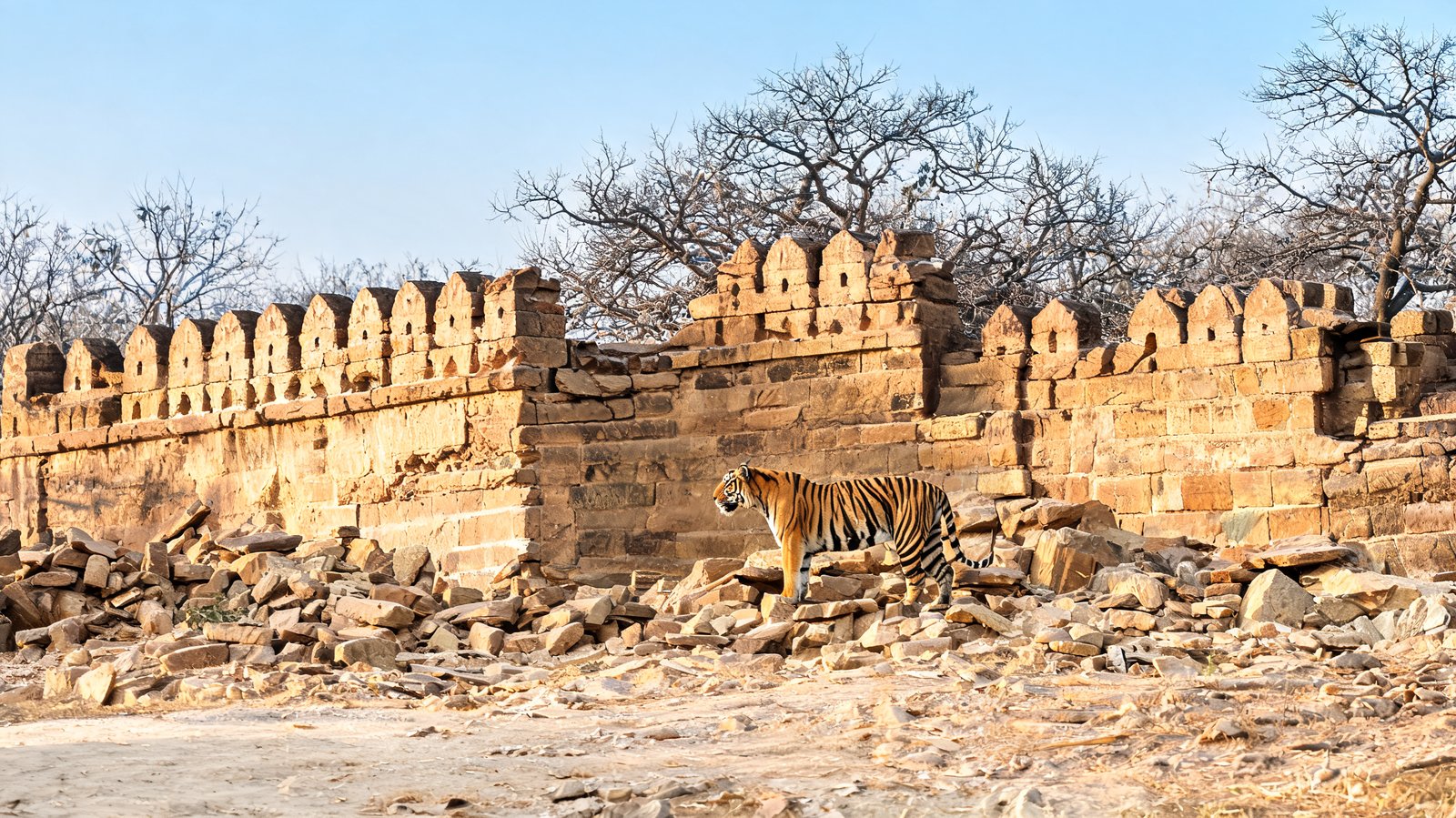 Ranthambore, Rajasthan
