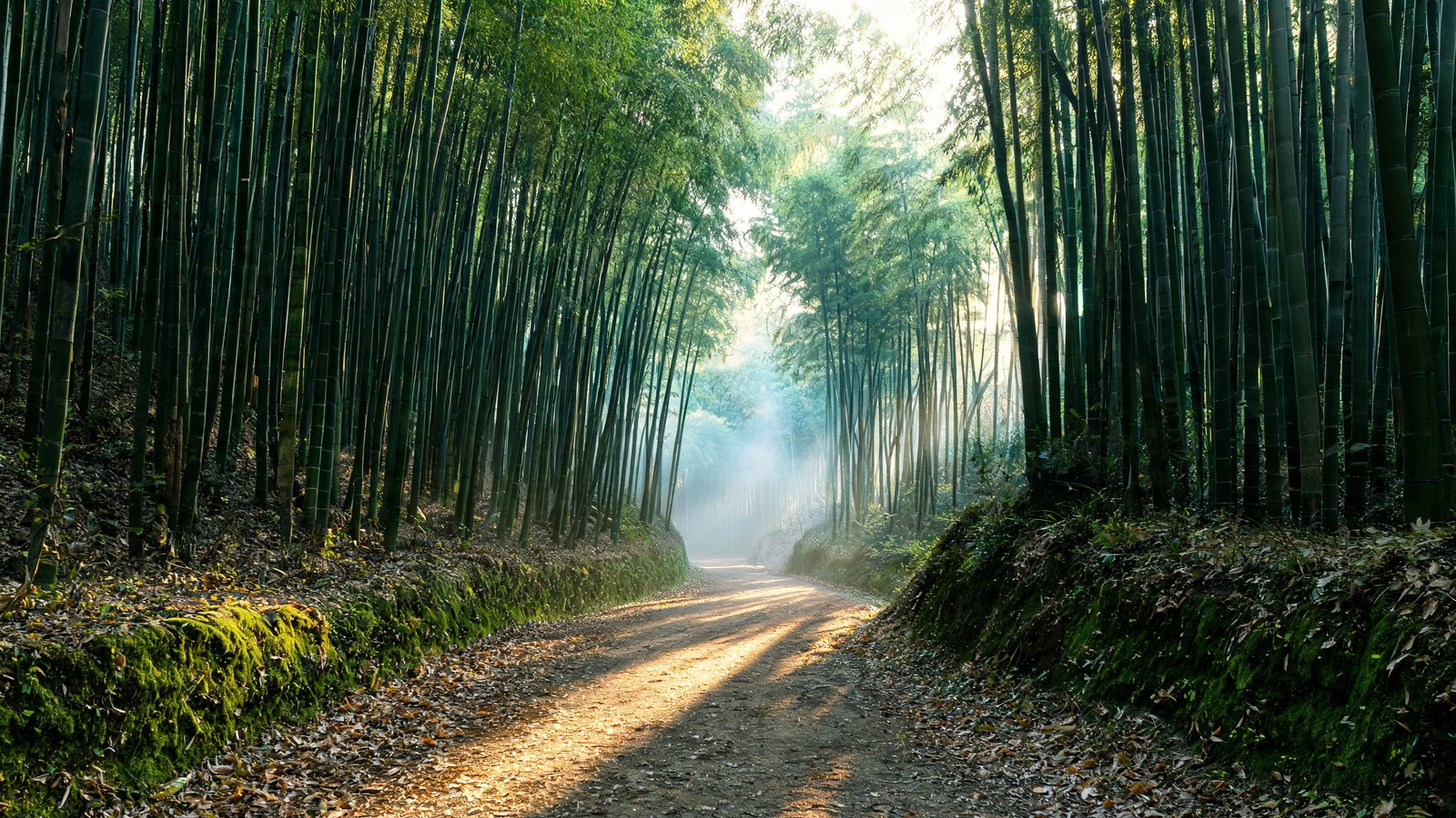 Kyoto, Kansai Region