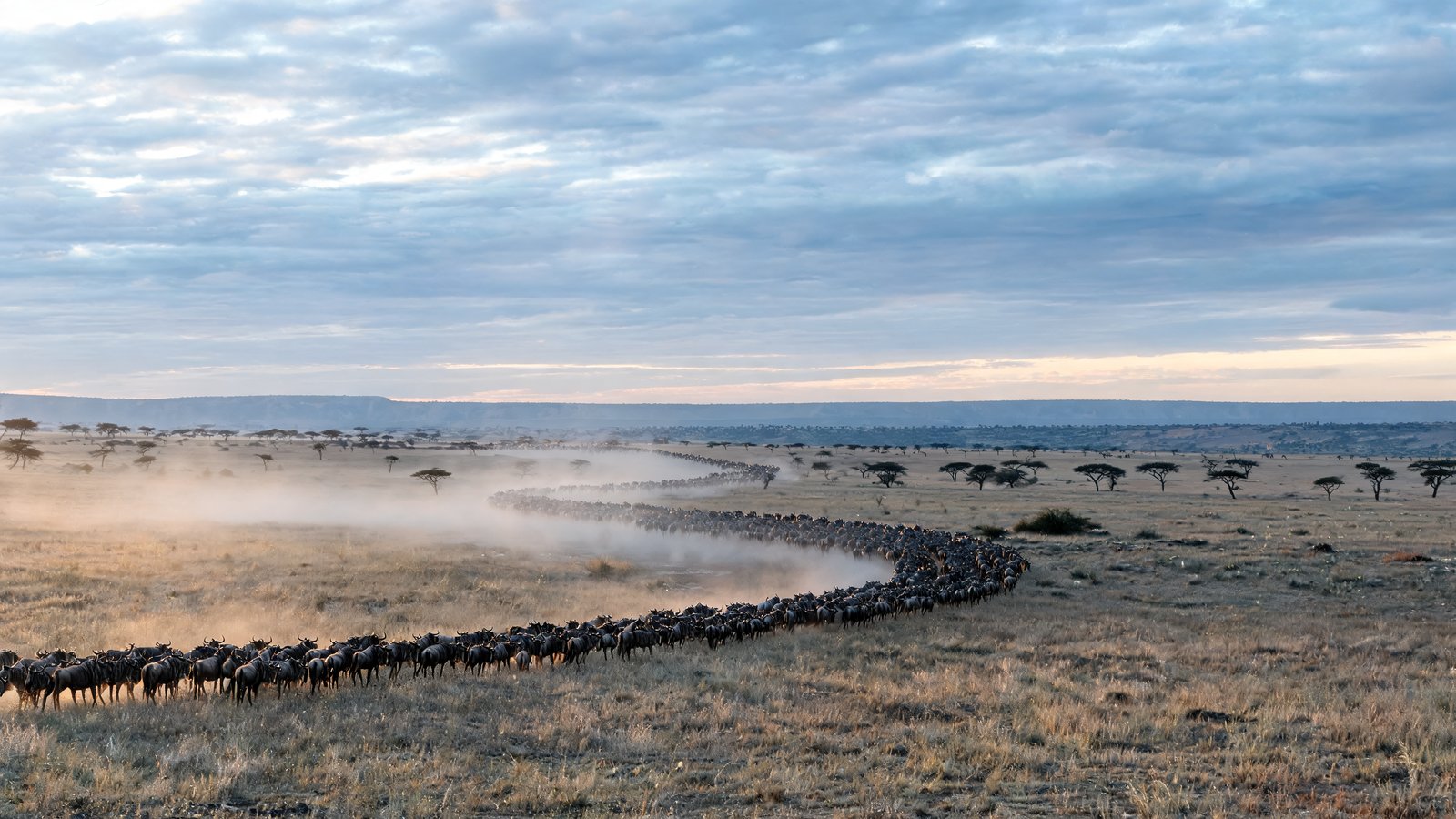 Serengeti, Tanzania