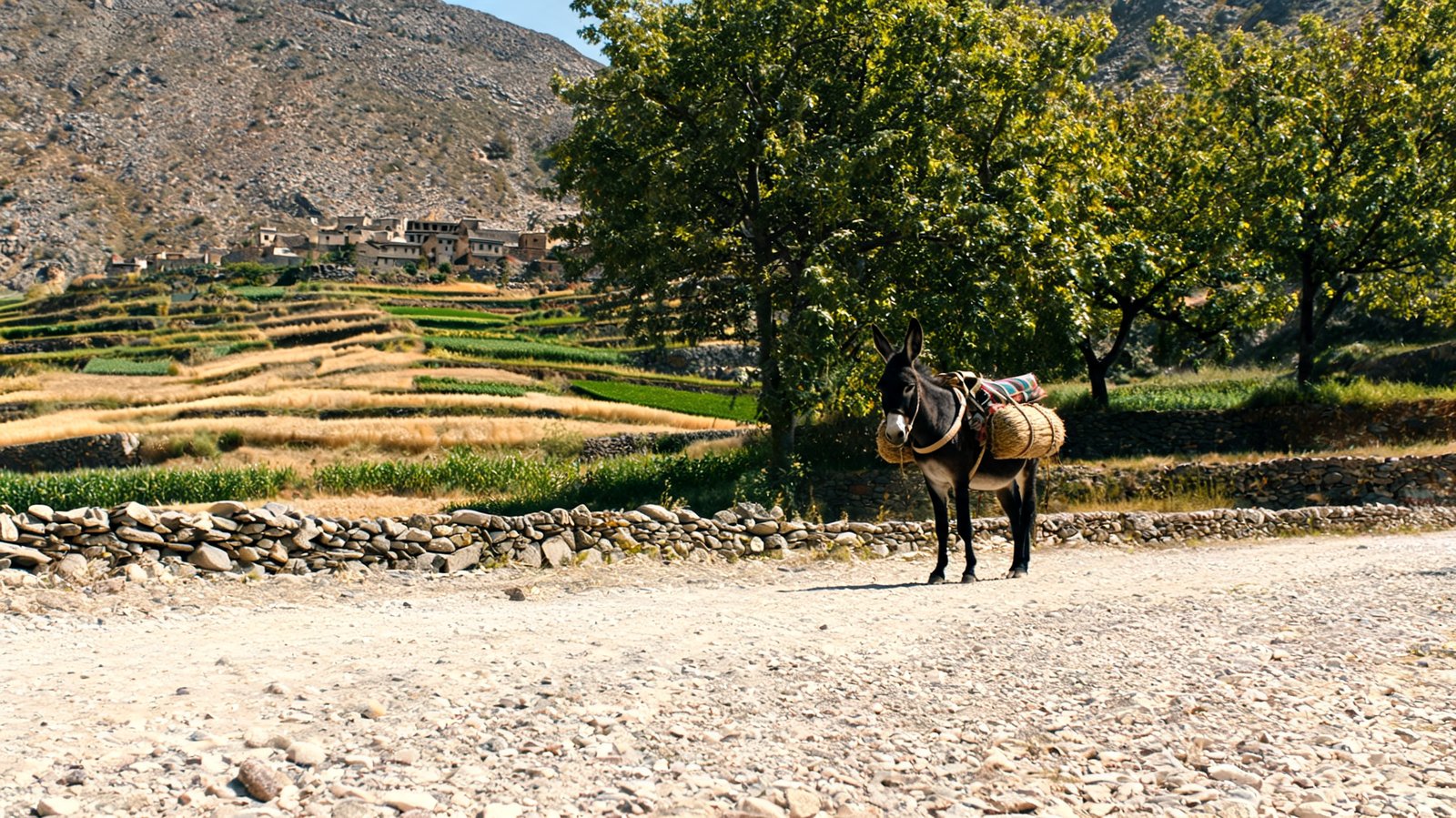 The High Atlas, Al Haouz