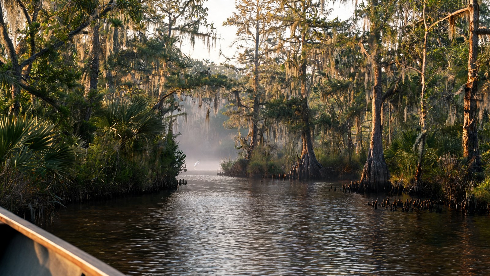 The Bayou & River Road, Beyond the City
