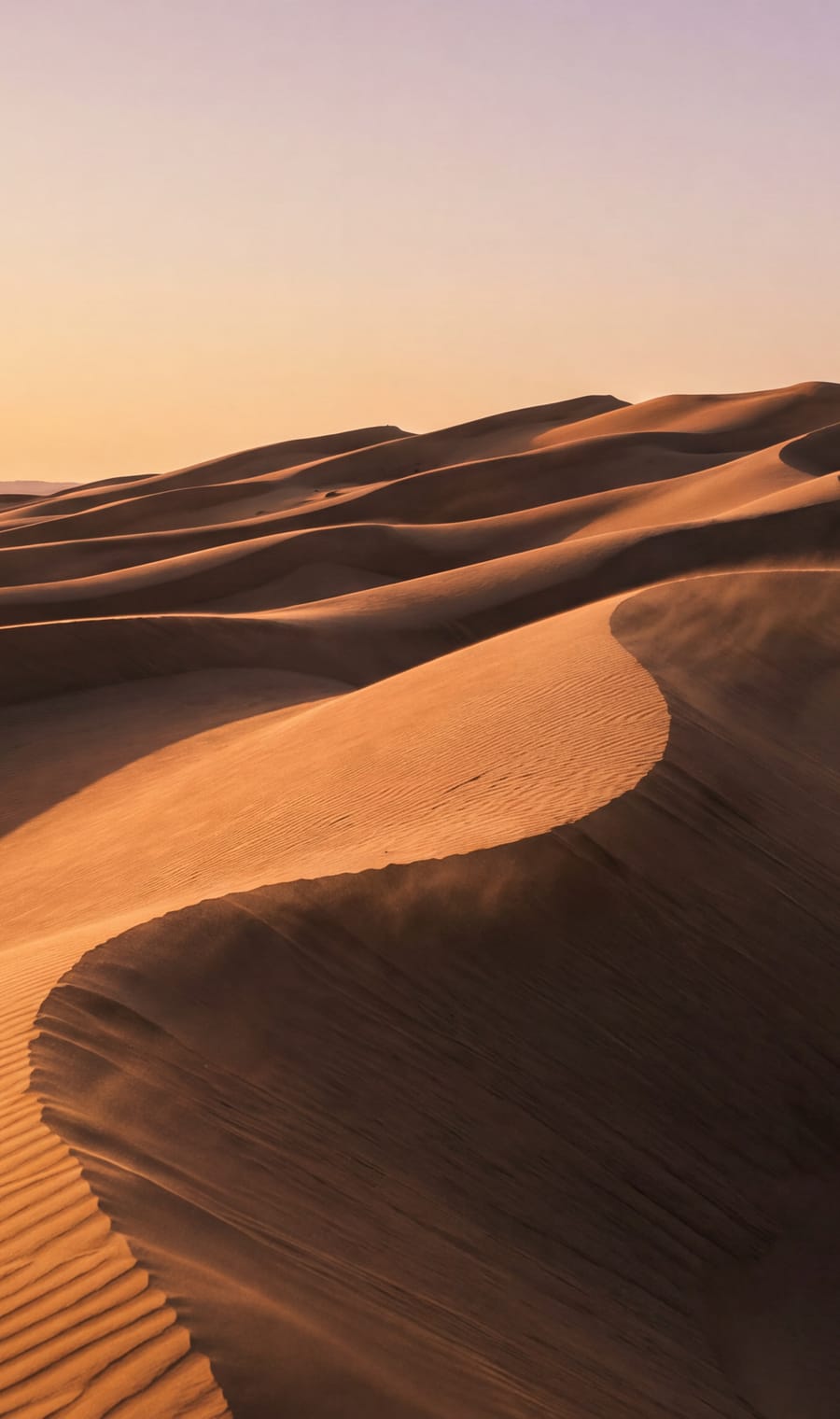 The curved ridge of a dune in the Wahiba Sands, Oman