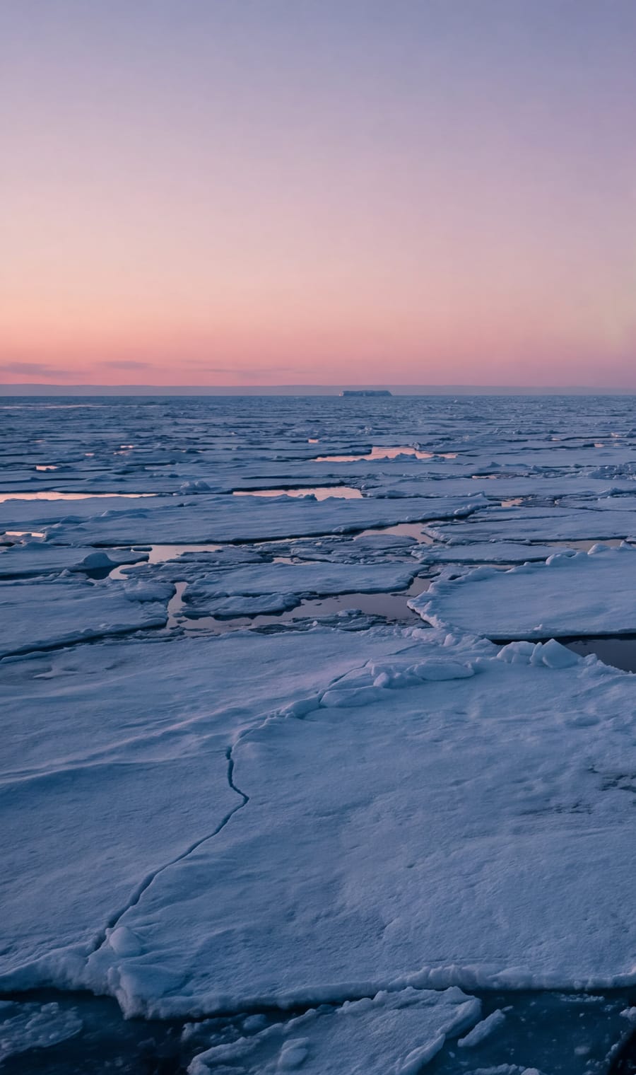 Broken sea ice stretching to the horizon under a pale Arctic twilight