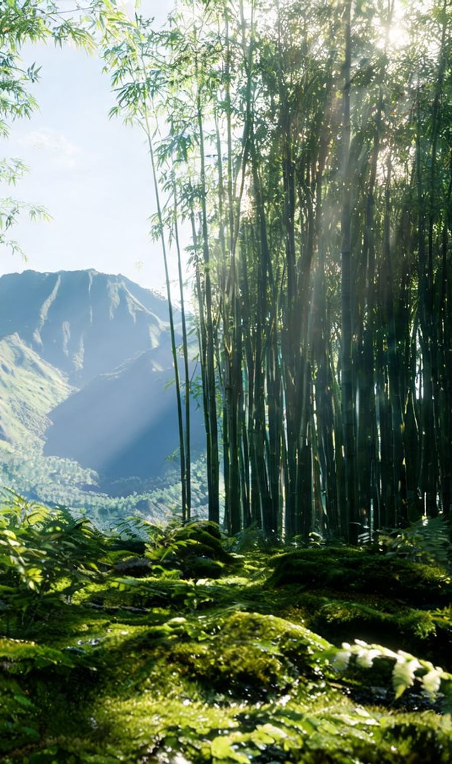Sunlight through a bamboo forest on the slopes of the Virunga volcanoes