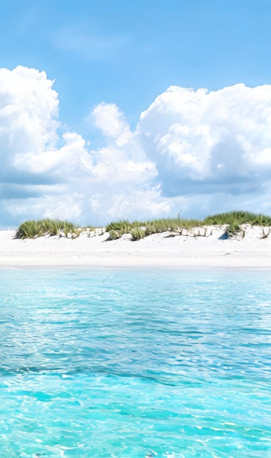 Dune grass above the white sand and turquoise shallows of Grace Bay
