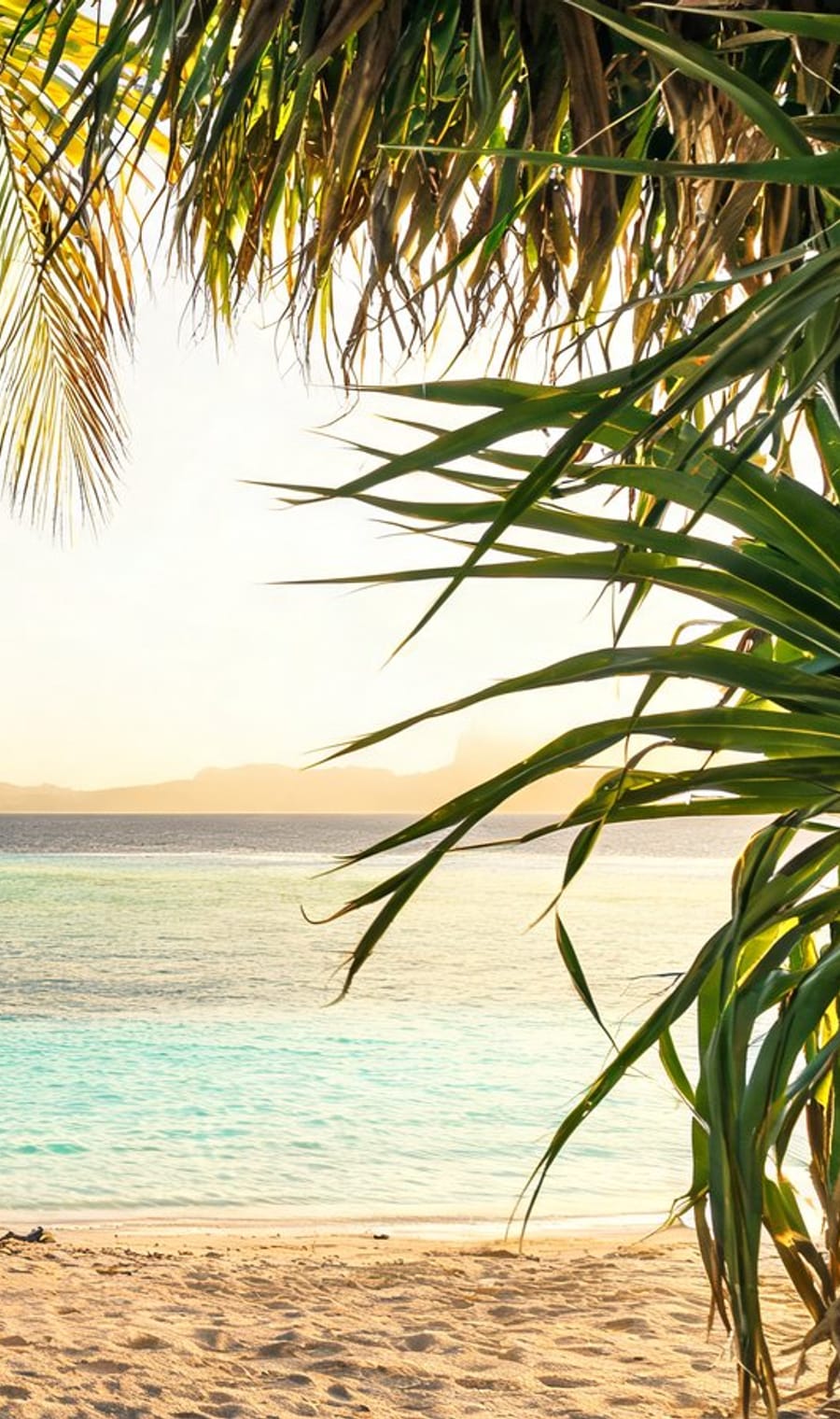 Palm fronds framing the turquoise lagoon at Bora Bora