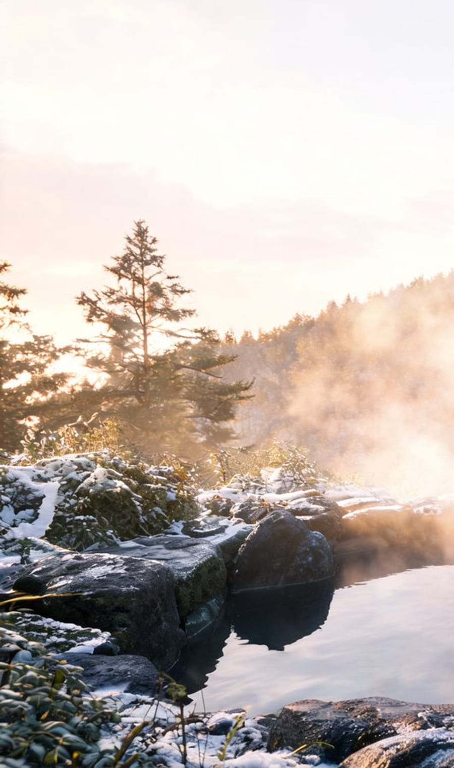 Steam rising from an outdoor onsen among snow-covered rocks at first light