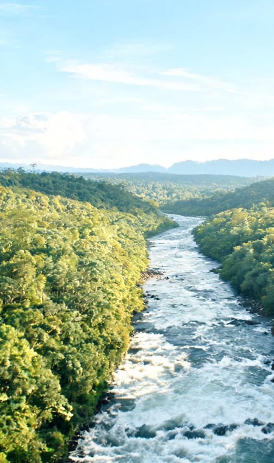 A whitewater river running through dense rainforest in Costa Rica's Pacuare valley
