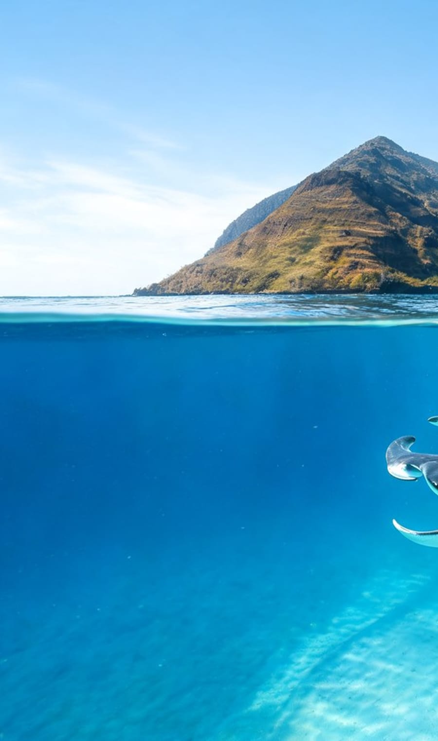 A split over-and-under view of a Yasawa island and its reef shallows