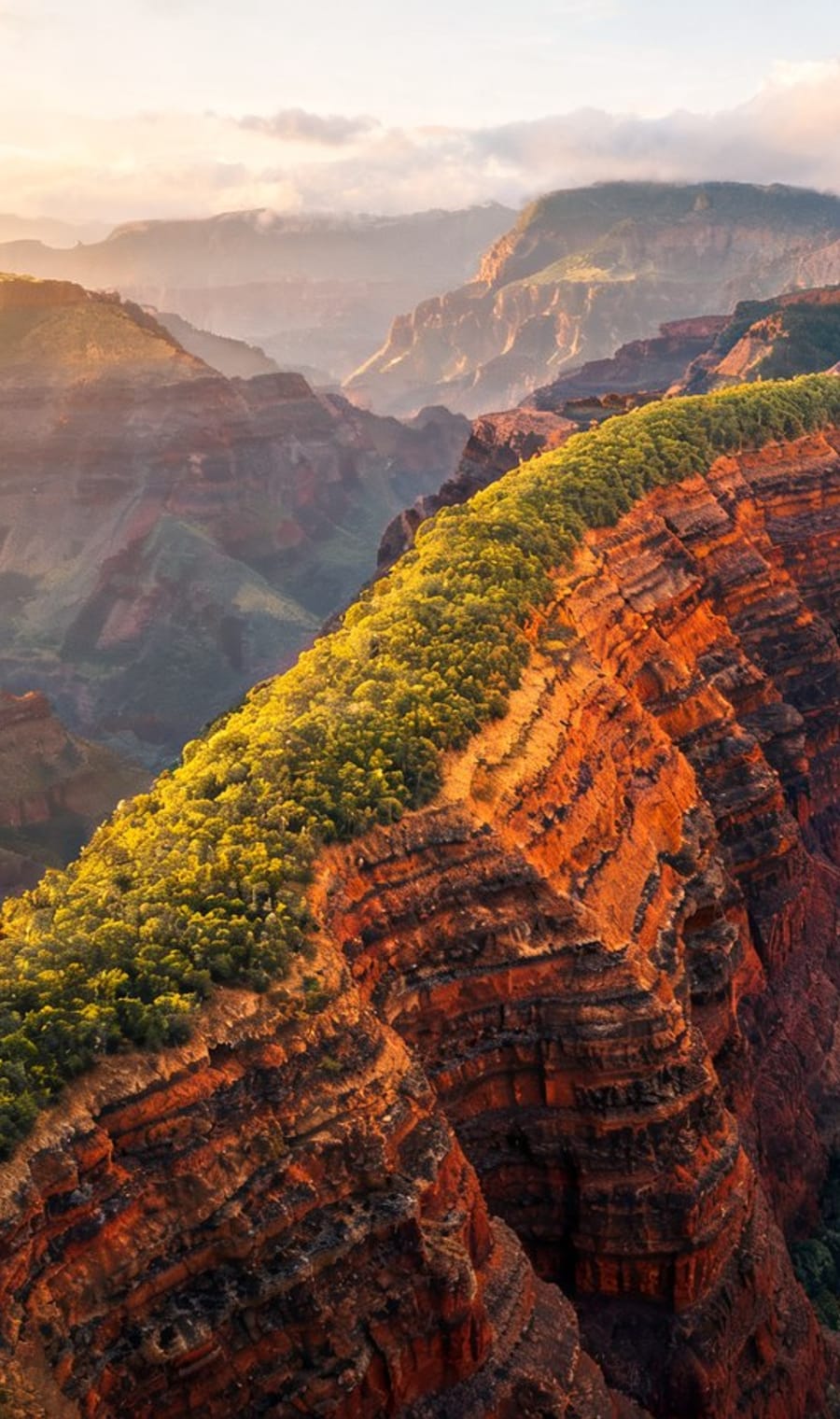 The red and ochre walls of Waimea Canyon on Kauai at first light
