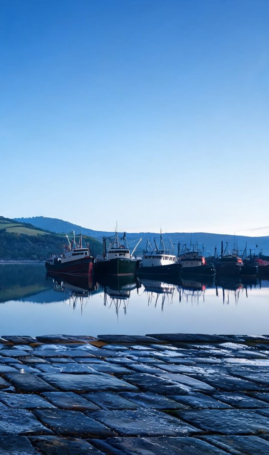 Fishing boats moored in still water below green hills on the Basque coast