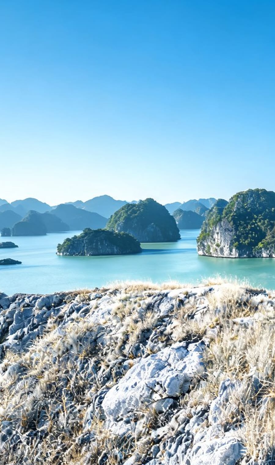 Limestone karsts standing out of the calm water of Lan Ha Bay