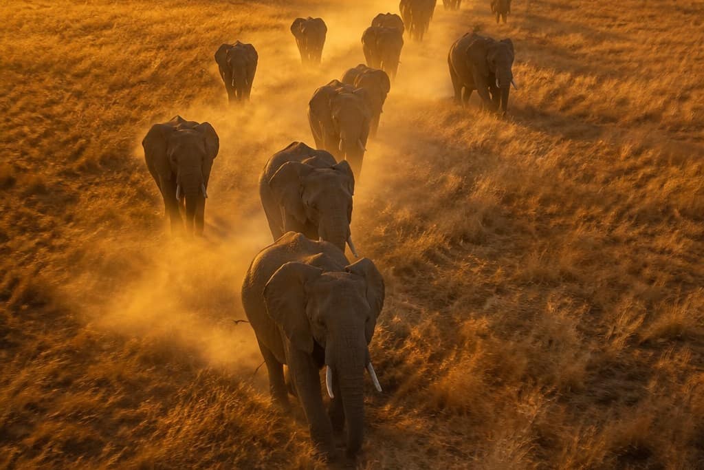 Botswana, Southern Africa