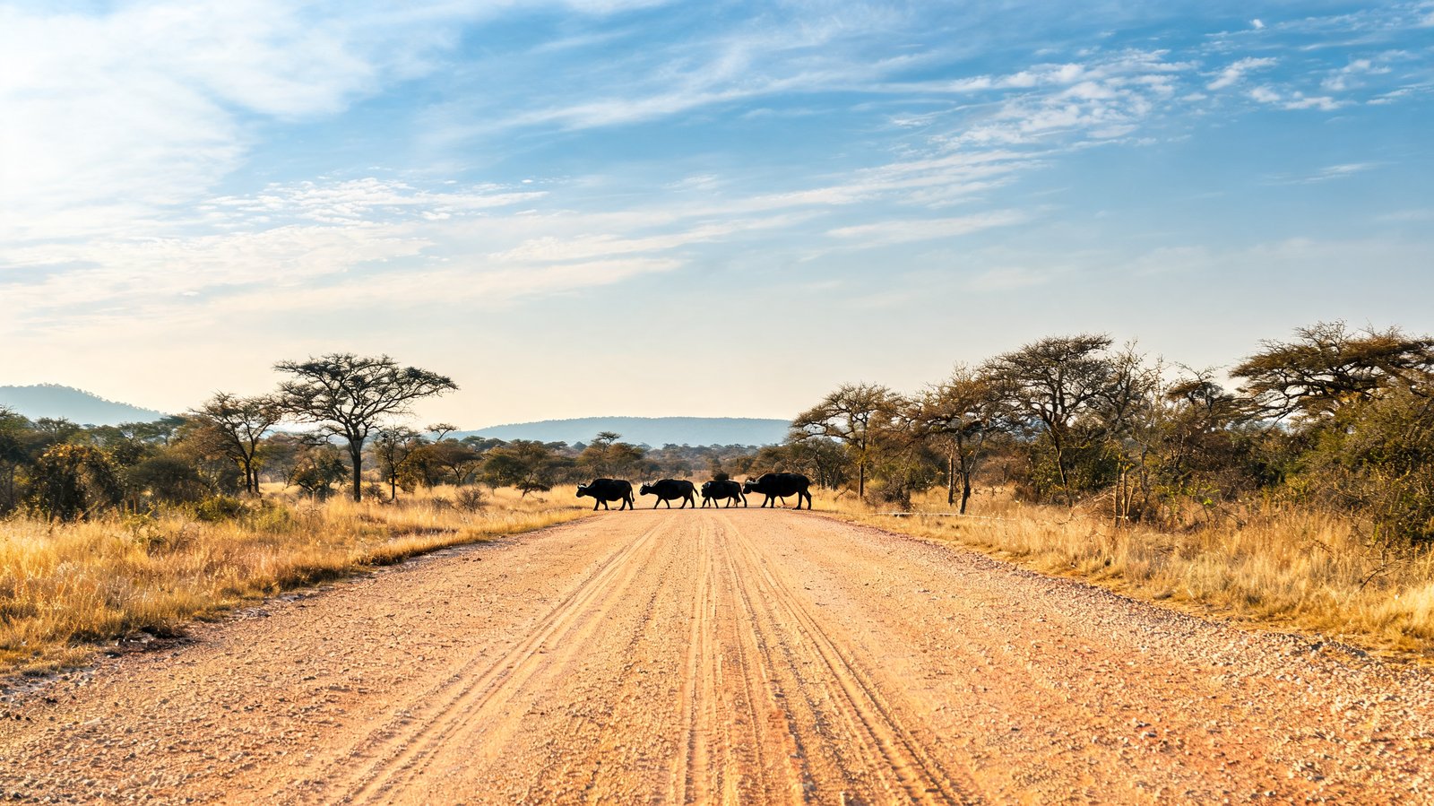 Kruger National Park, Mpumalanga & Limpopo