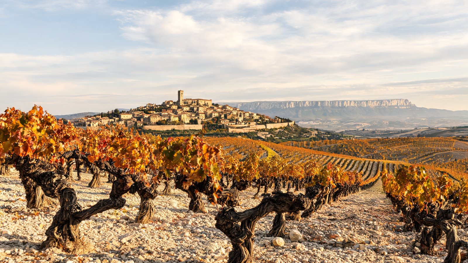 Rioja & the Interior, Wine Country