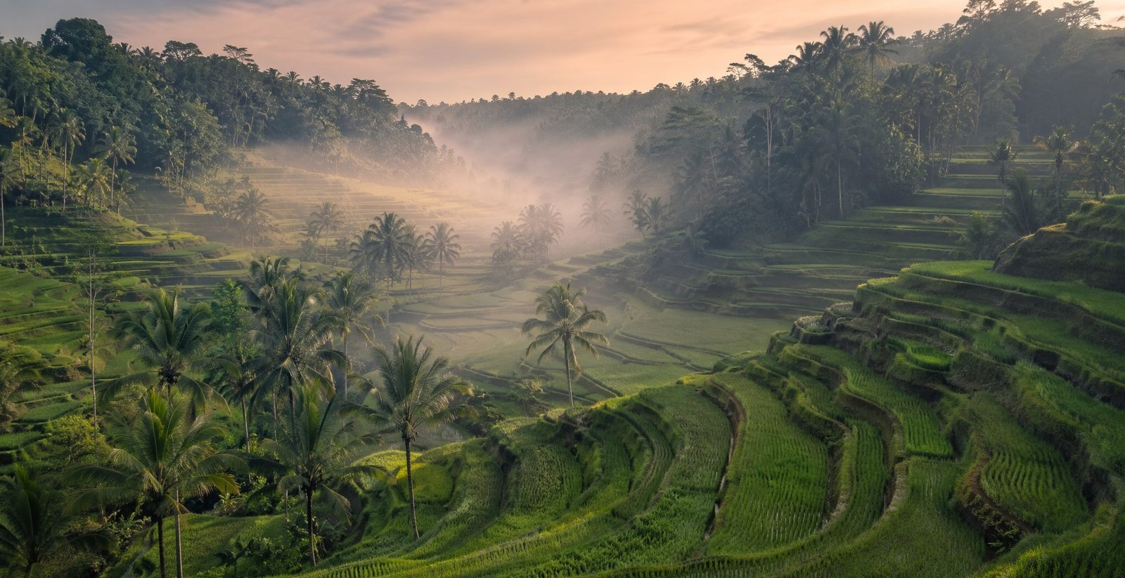Bali & Indonesia, Southeast Asia